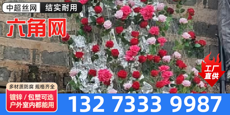 果洛藏族自治州云雾网插花网 - 方案